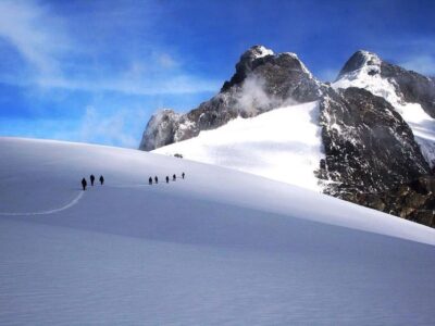 Gorilla Trekking And Rwenzori Hike Gorilla Trekking And Rwenzori Hike