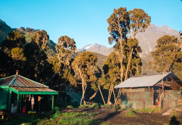 Nyakalengija to Nyabitaba Hut Nyakalengija to Nyabitaba Hut