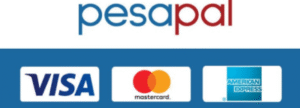 Secure Online Payments