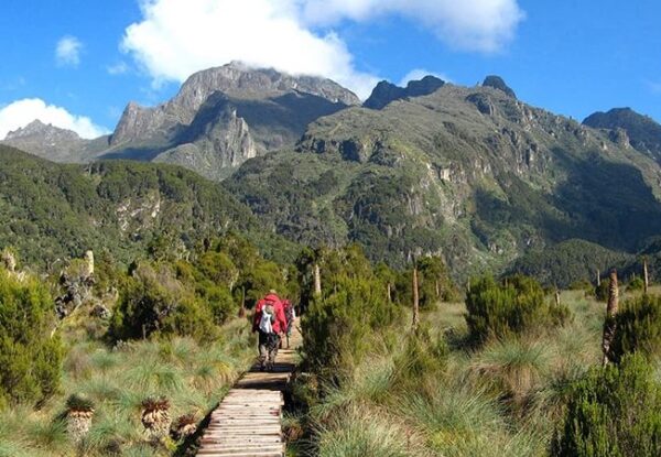 2-Day Rwenzori Hiking Tour 2-Day Rwenzori Hiking Tour