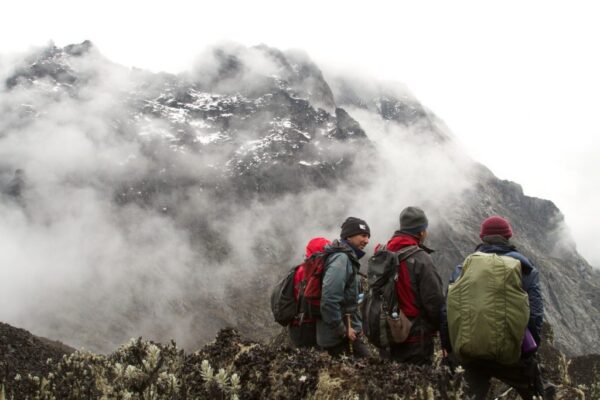 5 Days Rwenzori Trekking