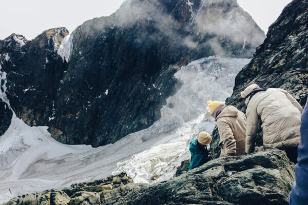 Primates, Wildlife And Rwenzori Hike