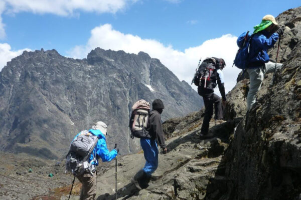 Rwenzori Hike And Uganda Safari