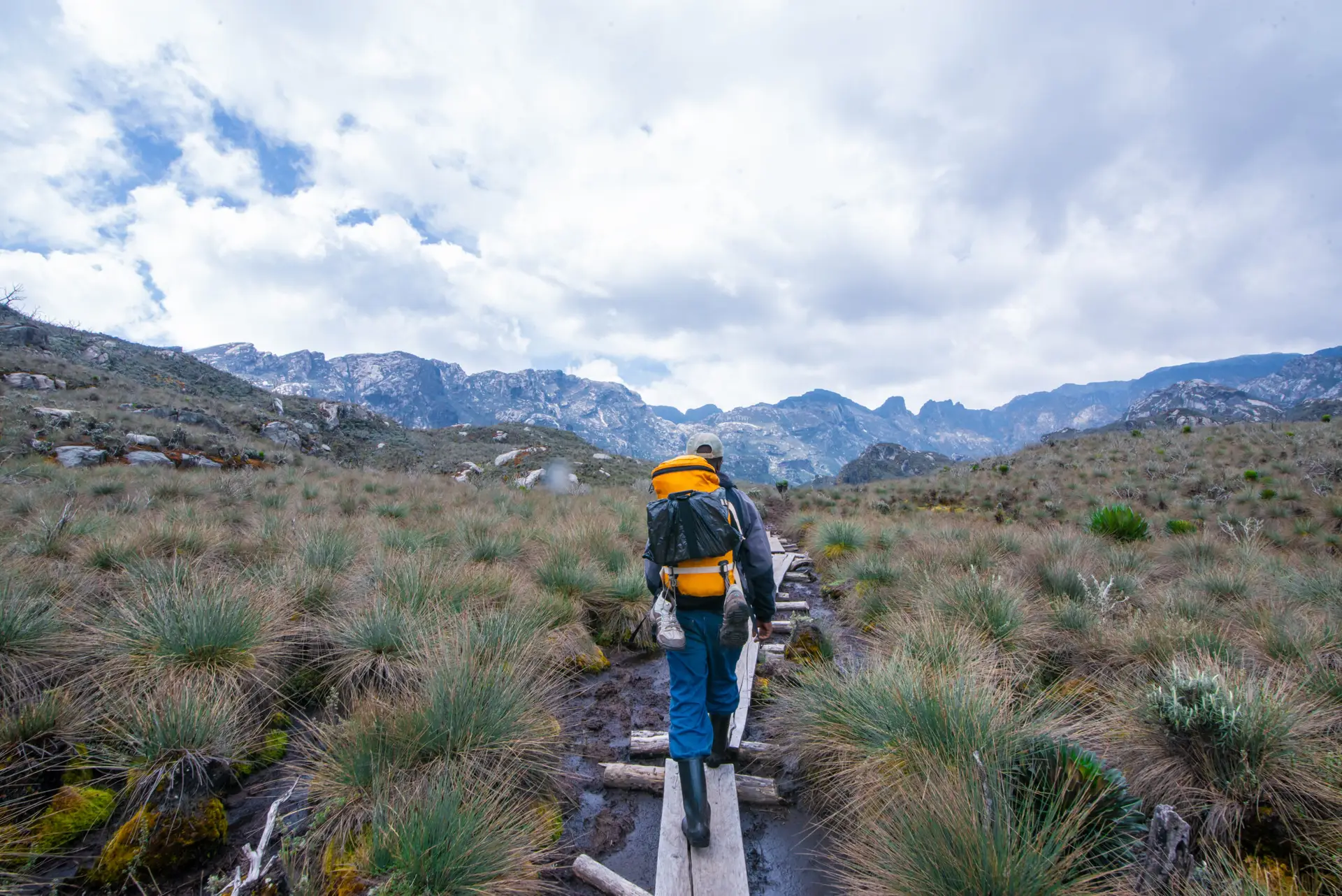 2-Day Rwenzori Trek to Sine Camp
