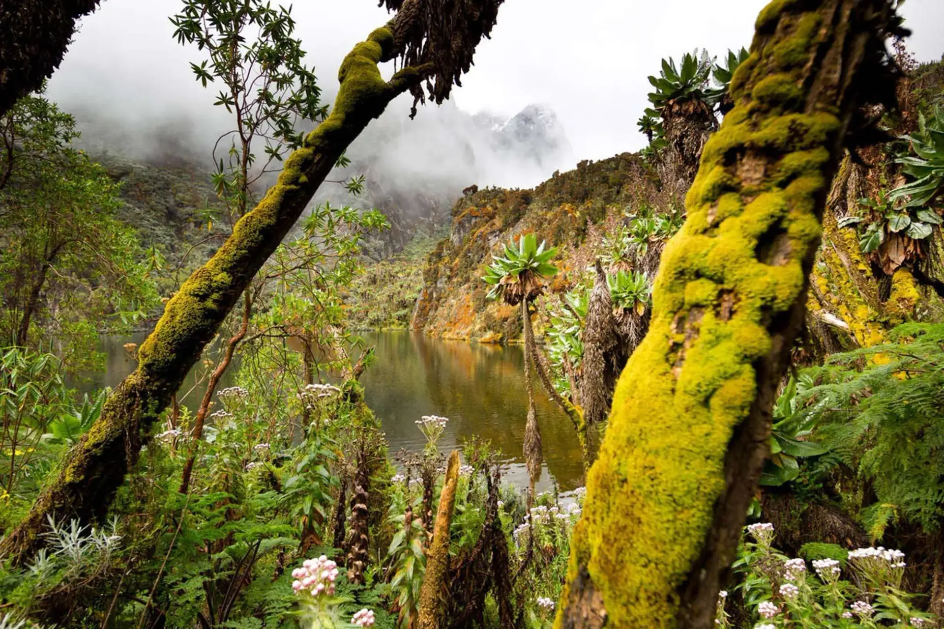 3-Day Mahoma Loop Hike