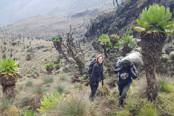 3-Day Rwenzori Trek to Sine Camp & Samalira Camp