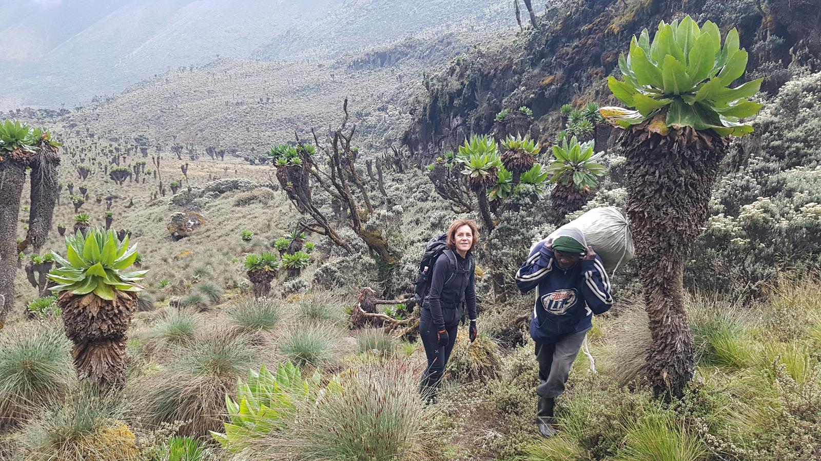 3-Day Rwenzori Trek to Sine Camp & Samalira Camp