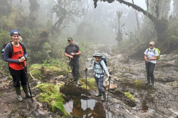 4-Peaks Rwenzori Trek 4-Peaks Rwenzori Trek
