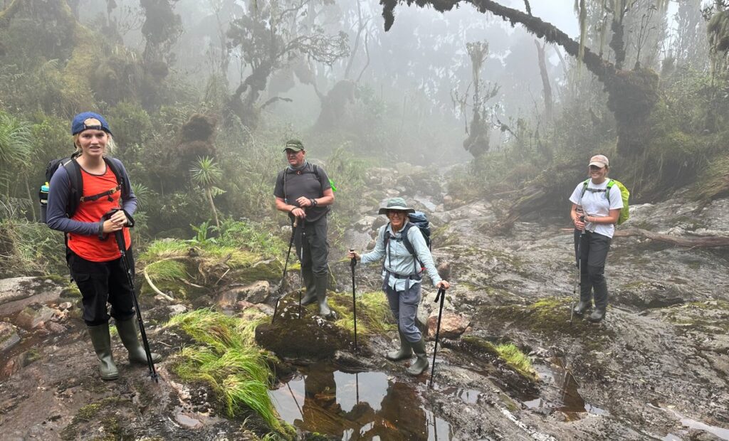 4-Peaks Rwenzori Trek