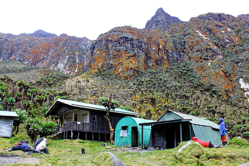 5-Day Rwenzori Trek to Bujuku Hut